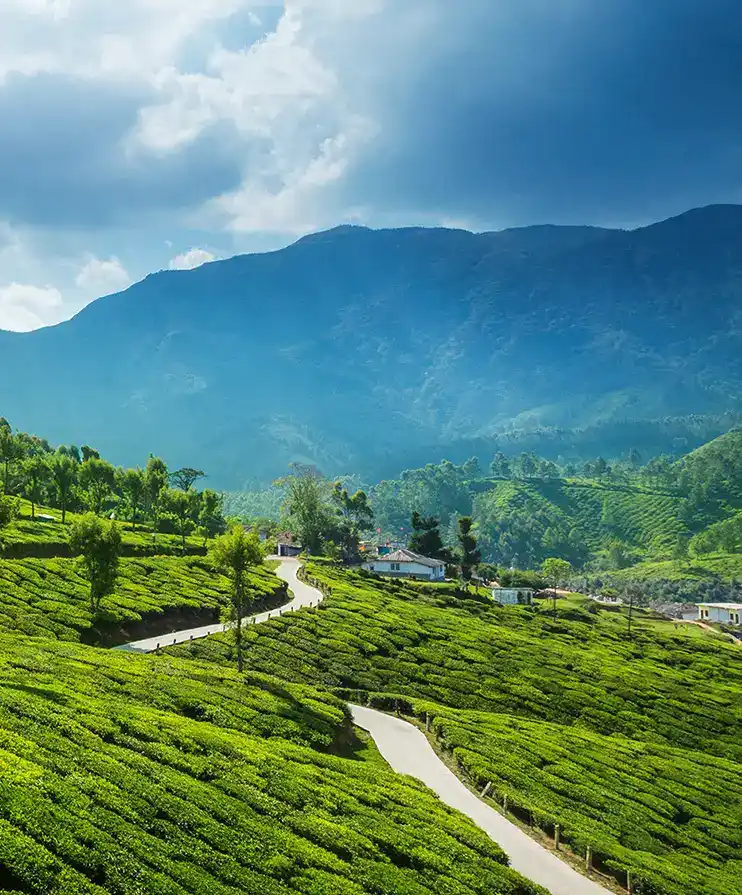 Kottayam
