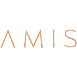 AMIS Development