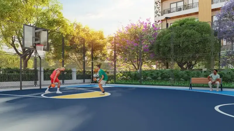 Half Basketball Court