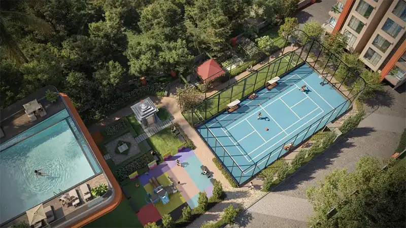 Basketball Court