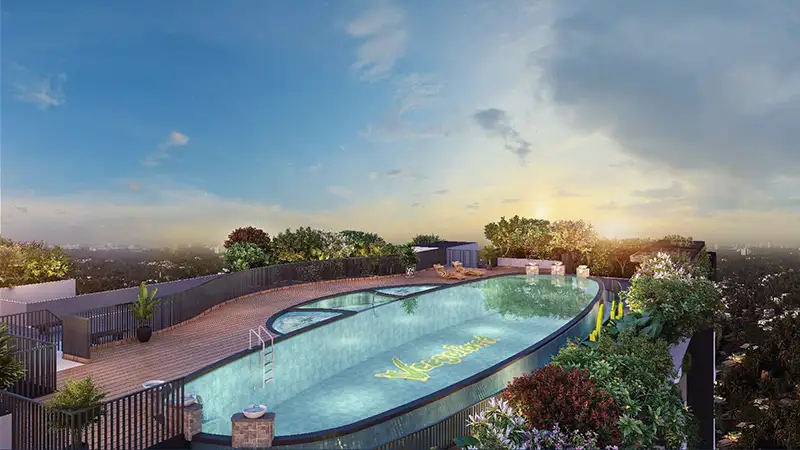 Rooftop Infinity Pool
