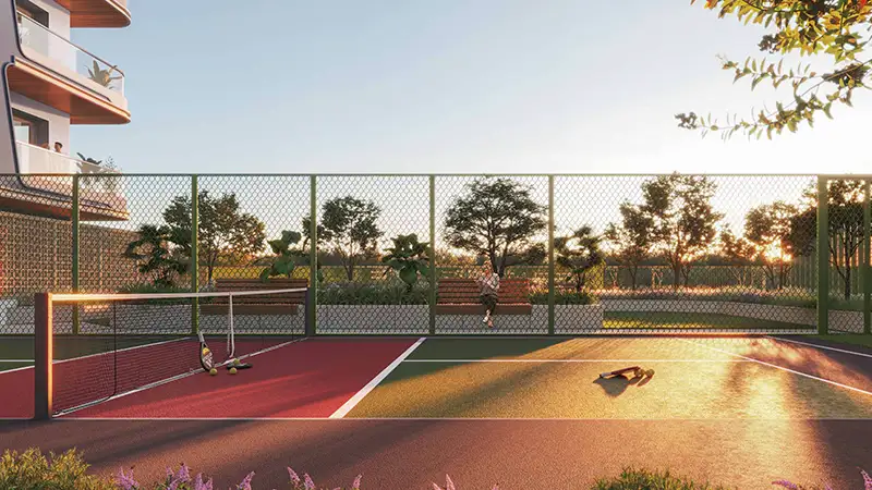 Pickleball Court