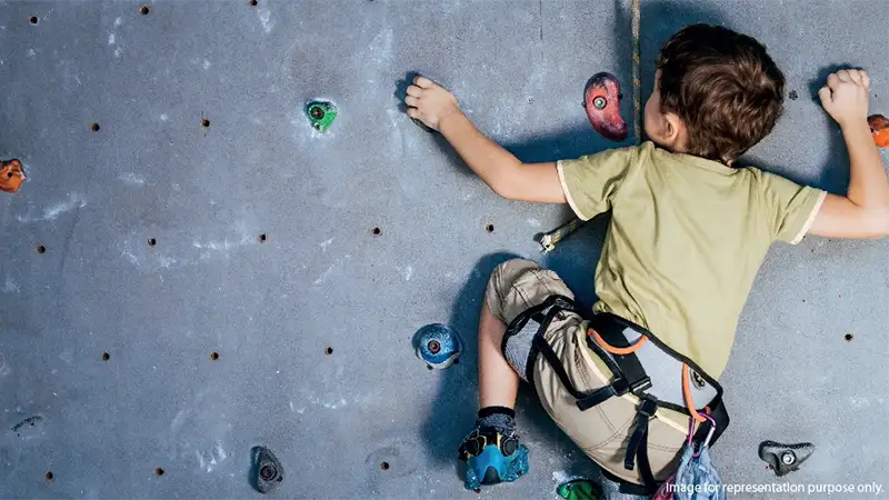 Rock Climbing Wall