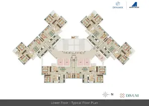 Lower Floor