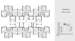Shamrock, Typical Level