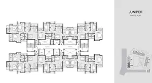Typical Floor Plan, Juniper