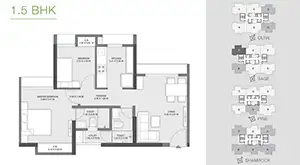 1.5 BHK, Olive, Sage, Pine, Shamrock