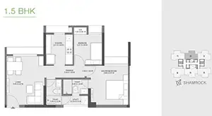1.5 BHK, Shamrock