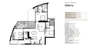 C20v1a