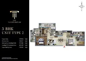 Type 1