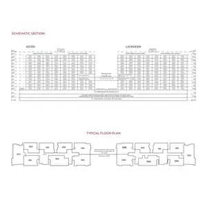 Basement Floor To Terrace Floor (ASTER & LAVENDER)