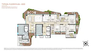Second Floor