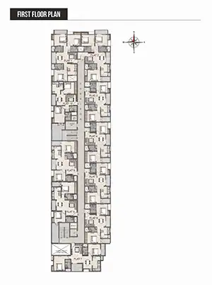 15th Floor