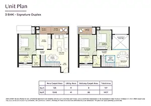 Type 1 (Signature Duplex)