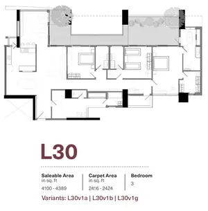 L30v1a, L30v1b, L30v1g