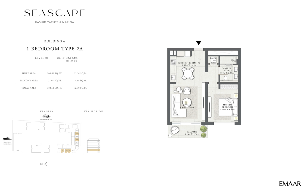 Type 2A, Level 01