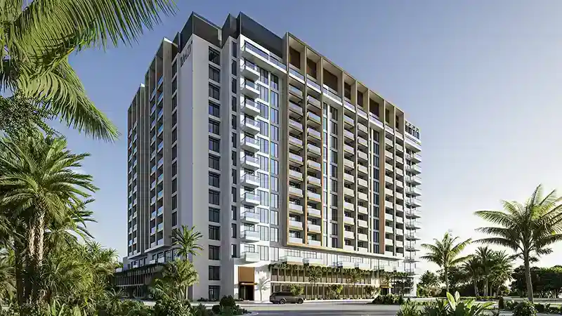 The Collection at Taiyo