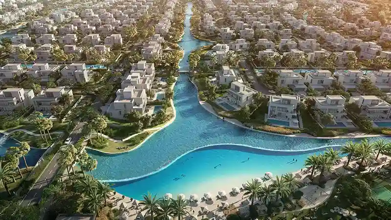 Palmiera Collective at The Oasis