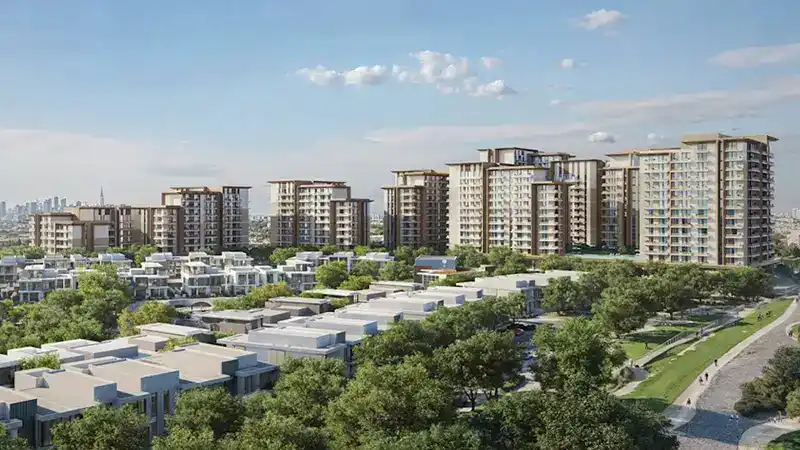 Dana at Expo Valley Views