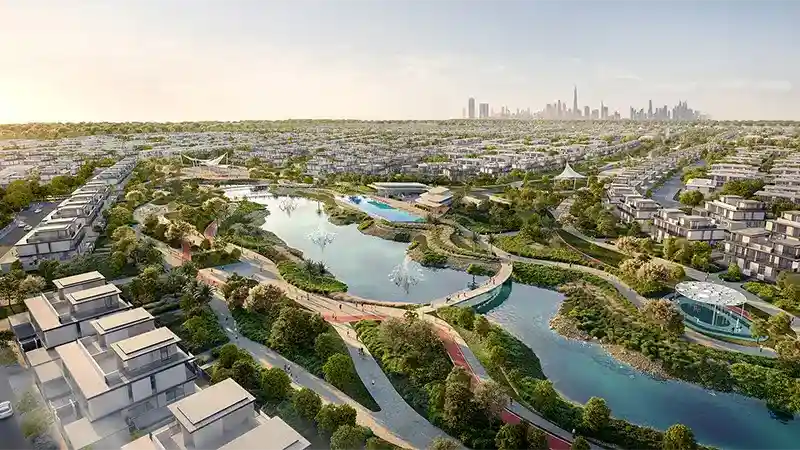 Salva at The Heights