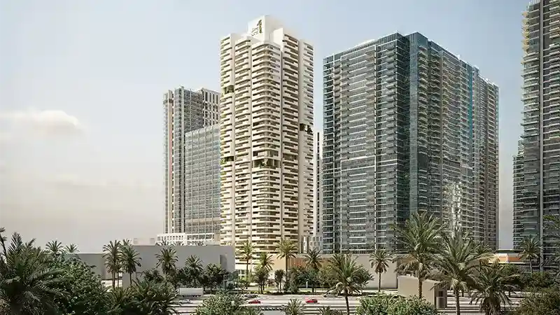 Wasl Nine Collective