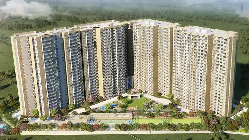 Keya The Urban Forest