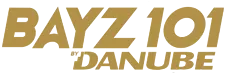 Danube Bayz 101 Logo