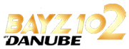 Bayz 102 By Danube Logo