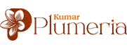 Kumar Plumeria Logo