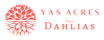 The Dahlias Yas Acres Logo
